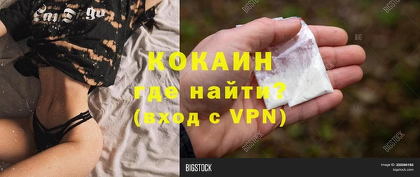 шишки Иннополис