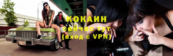 бошки Инта