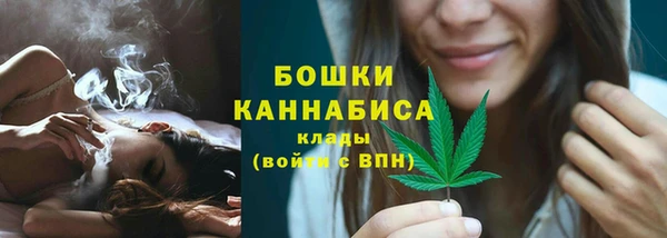 бошки Инта