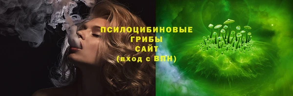 бошки Инта