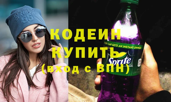 бошки Инта