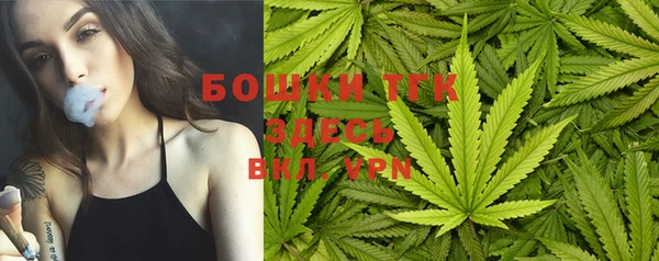 шишки Иннополис