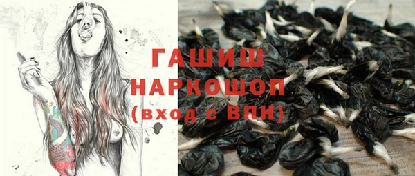 бошки Инта