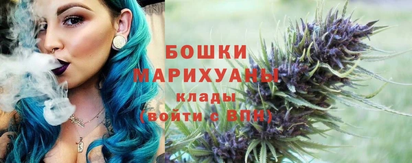 шишки Иннополис