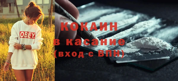 шишки Иннополис