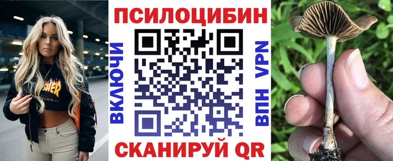 Псилоцибиновые грибы GOLDEN TEACHER  Купить где  Высоковск 